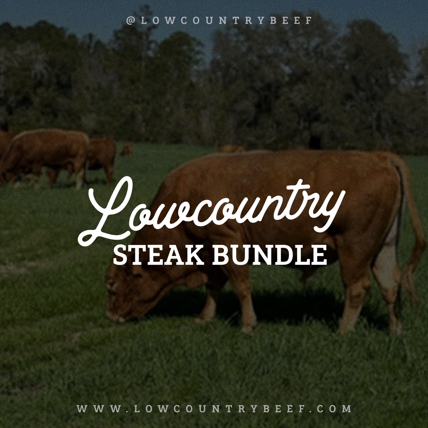 Lowcountry Steak Bundle